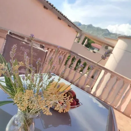 Majstorovic * Seline