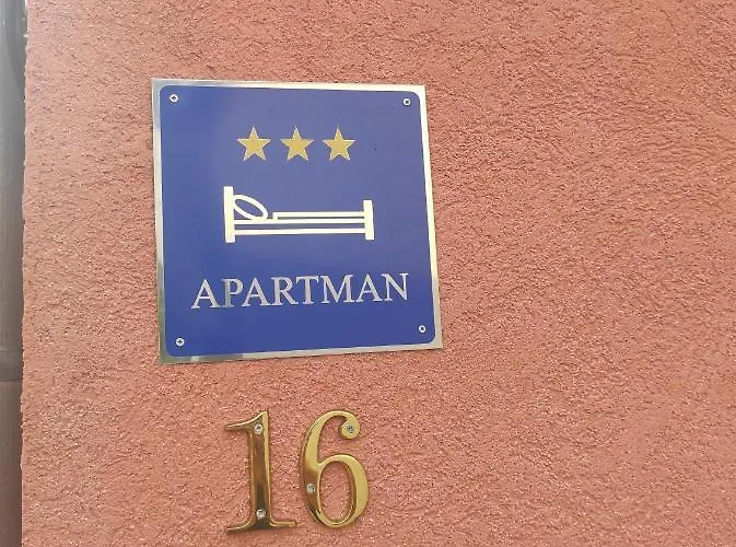 Majstorovic سيلين