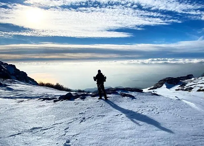 Majstorovic شقة سيلين