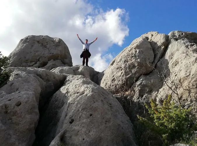 Majstorovic سيلين