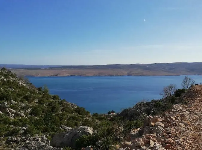 شقة Majstorovic *