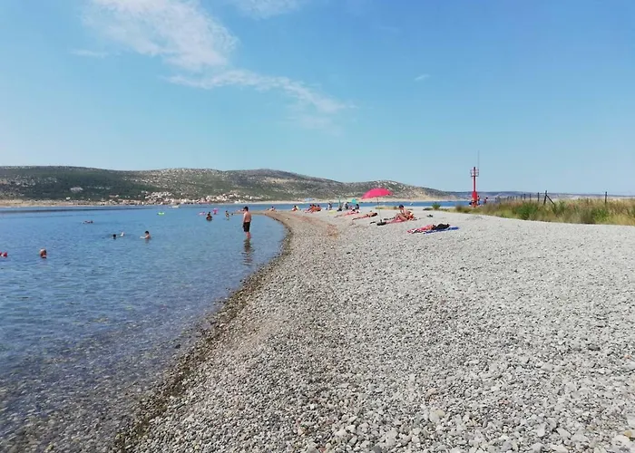 Majstorovic * سيلين