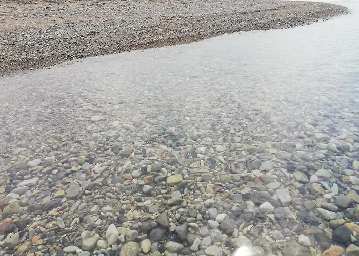 Majstorovic * سيلين