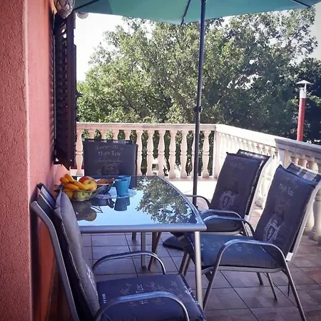 Majstorovic * 셀리네