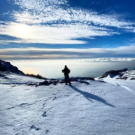 Majstorovic 아파트 셀리네