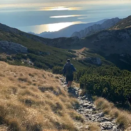 Majstorovic 아파트