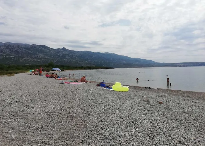 Daire Majstorovic Seline